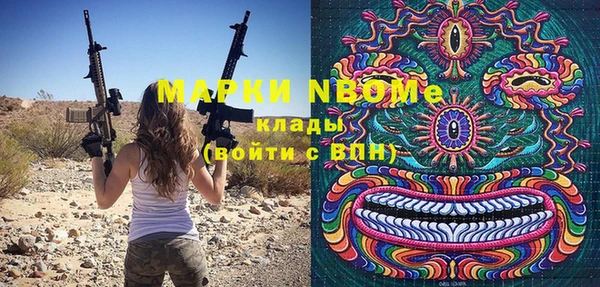 прущие грибы Пересвет