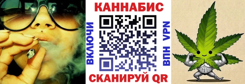 Бошки Шишки план  Искитим 